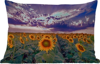 Buitenkussens - Bloemen - Lucht - Paars - Zonnebloem - Zonsondergang - 60x40 cm - Weerbestendig