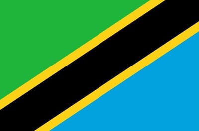 Vlag Tanzania 30x45cm