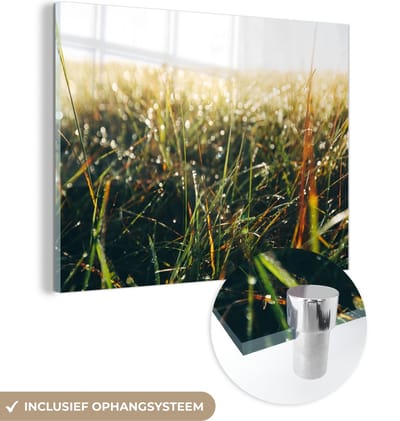 MuchoWow® Glasschilderij 40x30 cm - Schilderij acrylglas - Grasveld - Pampasgras - Gras - Foto op glas - Schilderijen