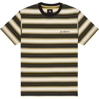 T-shirt DC Shoes Shelter Stripe