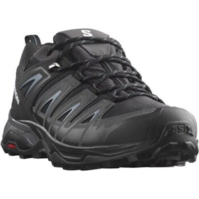 Wandelschoenen Salomon X Ultra Pioneer Gtx