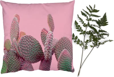 Sierkussens - Kussentjes Woonkamer - 40x40 cm - Cactus - Planten - Zomer
