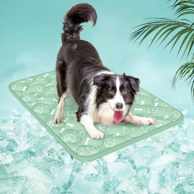 Koelmat Hond - Hondenmat Zomer - Hond Koel Houden - Zelfkoelend Arc-Chill - 70 x 90 cm - Groen