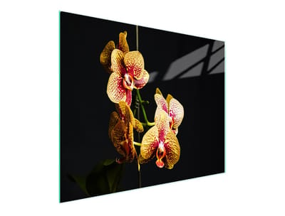 TMK ArtDeko - Snijplank - 52x30 cm - Glas - Antislip Siliconen Voeten - UV-Print