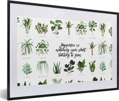 Fotolijst incl. Poster - Quotes - Spreuken - Happiness is... watching your plant starting to grow - 60x40 cm - Posterlijst
