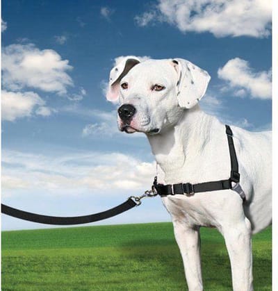 Easy Walk Harness grijs/zwart XL