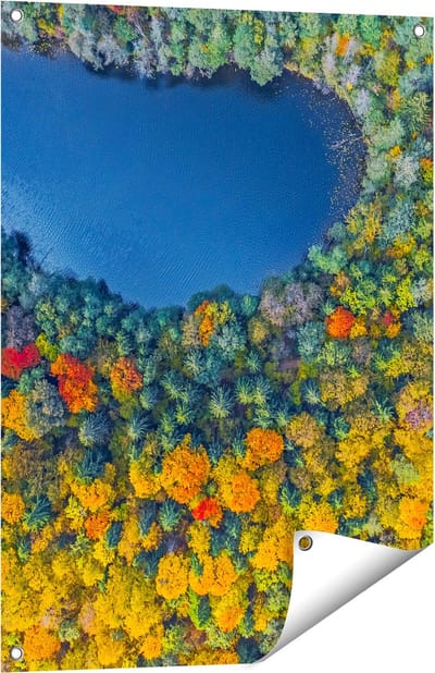Gards Tuinposter Kleurrijke Bos met Bomen naast een Meer - 60x80 cm - Tuindoek - Tuindecoratie - Wanddecoratie buiten - Tuinschilderij
