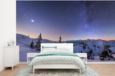 Behang - Fotobehang Winter - Sneeuw - Nacht - Bomen - Breedte 375 cm x hoogte 280 cm