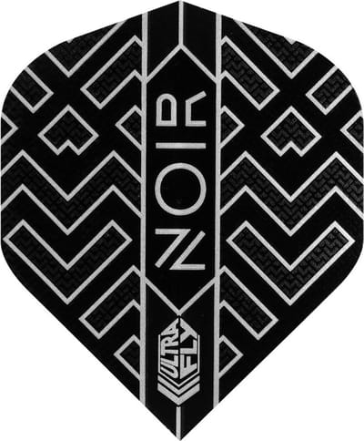 Set Darts met Stalen Punten en Tungsten Barrels voor Professioneel Gebruik