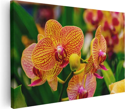 Artaza Canvas Schilderij Bloemen - 30x20 cm - Klein - Muurdecoratie Orchidee - Wanddecoratie Bloem - Kamer Accessoires