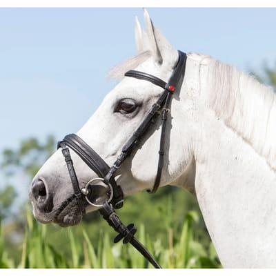 Gecombineerd hoofdstel met neusriem Kieffer Ultrasoft® Economy