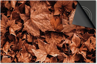 Inductie beschermer 60x60 - afdekplaat inductie mat - Dietrix Kookplaat beschermer - Exclusief - Herfst - Esdoorn bladeren