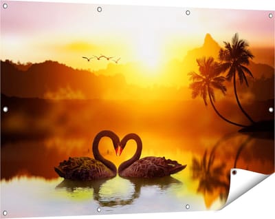 Gards Tuinposter Twee Zwarte Zwanen in een Hart Vorm - 120x80 cm - Tuindoek - Tuindecoratie - Wanddecoratie buiten - Tuinschilderij