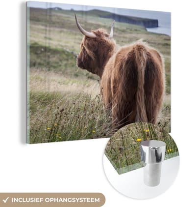 MuchoWow® Glasschilderij 160x120 cm - Schilderij acrylglas - Schotse Hooglander - Natuur - Zee - Foto op glas - Schilderijen