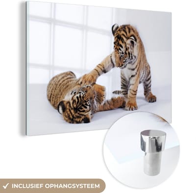 MuchoWow® Glasschilderij 120x80 cm - Schilderij acrylglas - Tijger - Welp - Wit - Foto op glas - Schilderijen