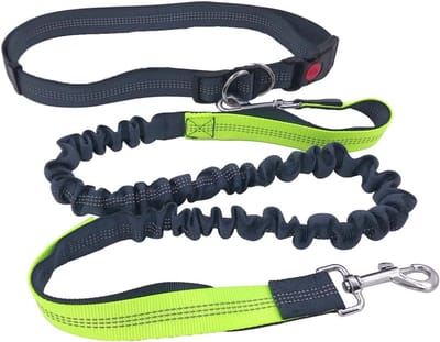 Handsfree Hondenriem, Verstelbare Heupriem en Dubbele Handgreep Intrekbare Bungee-Lijn, Jogging Hondenriem met Reflecterend Stiksel (Groen Handgreep)