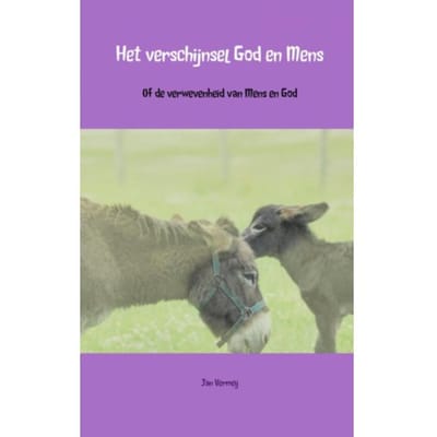 Het Verschijnsel God En Mens - Jan Vermeij