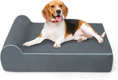 COSTWAY Orthopedisch hondenbed, hondenbank met rand, traagschuim, wasbaar en antislip, voor middelgrote en grote honden en katten, kattenbed, kattenbank indoor, 100 x 81 x 20 cm, grijs