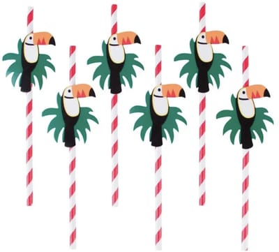 Rietjes Toekan