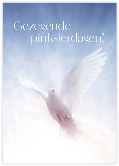 10 stuks voordeelkaart 'Gezegende pinksterdagen! - duif' - Majestically