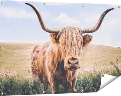 Gards Tuinposter Schotse Hooglander Koe in de Wei - 120x80 cm - Tuindoek - Tuindecoratie - Wanddecoratie buiten - Tuinschilderij