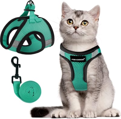 Kattentuigje, kattenriem voor katten, kattenharnas met riem, anti-ontsnapping, verstelbaar kattenharnas, controlerende, ademende kattenriem met reflecterende strepen