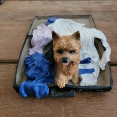 Beeld Yorkshire Terrier 28 cm