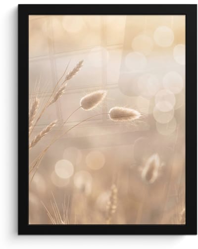 Poster in lijst - Fotolijst 30x40 cm - Posters - Hazestaartgras - Graanharen - Zonlicht - Posterlijst zwart - Decoratie - Wanddecoratie woonkamer - Muurdecoratie slaapkamer