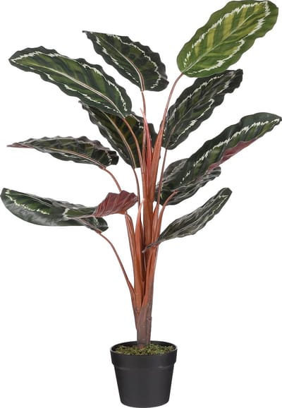 Mica Decorations - Calathea Roseopicta Kunstplant - H90 x Ø60 cm - Groen