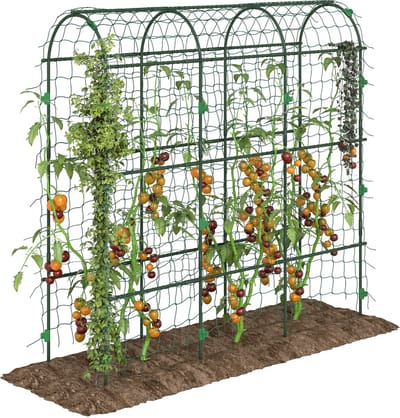 ECTEATOY® Metalen Plantenklimrek voor Buiten - Rankhulp voor Klimplanten en Groenten - Met Klimnet - 183 cm Hoog