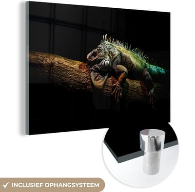 MuchoWow® Glasschilderij 120x80 cm - Schilderij acrylglas - Dier - Tak - Zwart - Foto op glas - Schilderijen