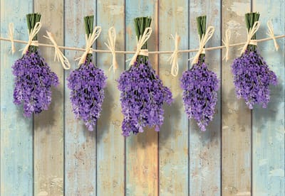 Fotobehang Wooden Wall Flowers Lavender | XL - 208cm x 146cm | 130g/m2 Vlies