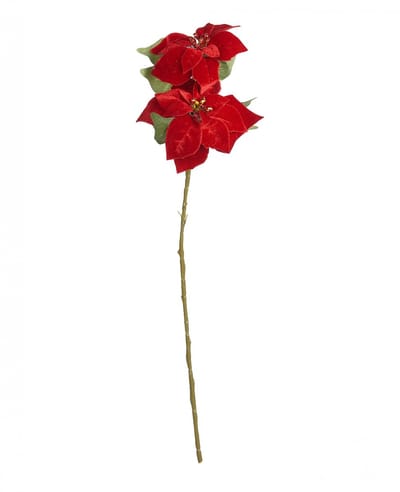 JJA - Rode Poinsettia tak 75 cm, Kerstster