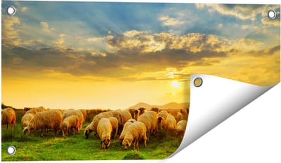 Gards Tuinposter Kudde Schapen op het Gras bij Zonsondergang - 60x30 cm - Tuindoek - Tuindecoratie - Wanddecoratie buiten - Tuinschilderij