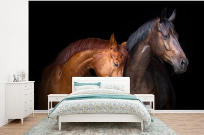 Behang kinderkamer - Fotobehang Paarden - Dieren - Portret - Bruin - Breedte 320 cm x hoogte 240 cm - Kinderbehang