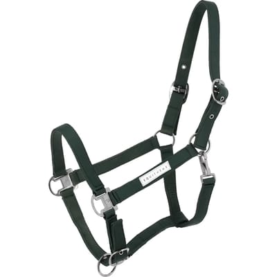 Halster voor paarden Equithème Opal