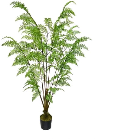 Kunstplant Varen in Pot - 180 cm