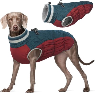 Warme, reflecterende winddichte hondenjas voor kleine en grote honden - winterjas met harnas - paars - XXL