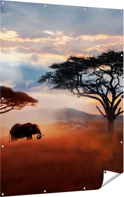 Gards Tuinposter Olifant in het Wild - Savanne - 120x160 cm - Tuindoek - Tuindecoratie - Wanddecoratie buiten - Tuinschilderij