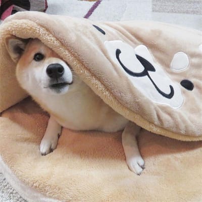 Nid Tapis Créatif pour Chien Shiba Inu Tapis Rond Court en Peluche Dessin Animé pour Chat et Chien 85*8cm gray