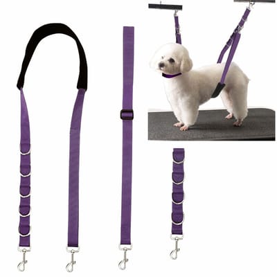 Dailygoods- Hondenverzorgingsriem Verstelbaar - Hondenlijn 3 meter - Veiligheidsriem - Nylon - Voor kleine/middelgrote huisdieren - Rustige verzorging