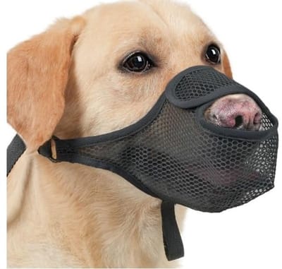 Dailygoods - Muilkorf voor honden, muilkorf voor kleine honden, nylon, verstelbare muilkorf voor honden, ademend voor kleine, middelgrote en grote honden (S, zwart)