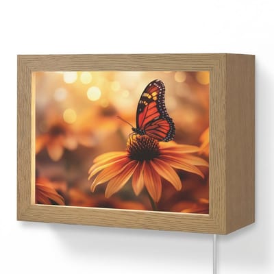 Wandlamp 20x15 cm - Oplaadbaar - Vlinder - Bloemen - Oranje - Wandlampen binnen woonkamer - Slaapkamer lamp met kabel - Decoratieve nachtlamp - Vloerlamp snoer