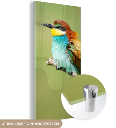 MuchoWow® Glasschilderij 20x40 cm - Schilderij acrylglas - Vogel - Dieren - Bijeneter - Foto op glas - Schilderijen