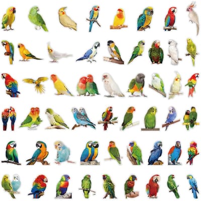 53 Delige Papegaai Patroon Stickers Voor Journal Scrapbook Decoratie Sticker Story Store white