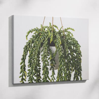 Saammp Muurcirkel Hout - Wolf - Dieren - Natuur - Ø 80 - Wandcirkel - Wanddecoratie Cirkel - muurdecoratie Woonkamer - Slaapkamer decoratie - Rond Schilderij