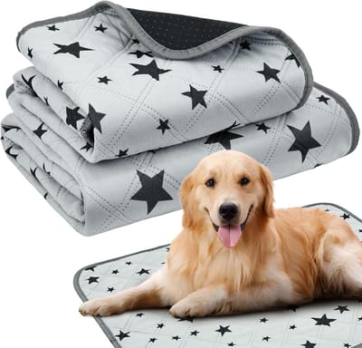 Wasbare puppymatten - herbruikbare puppytrainingsonderlegger, waterdichte en absorberende hondentrainingspads voor thuis en onderweg, 60 x 45 cm en 120 x 60 cm