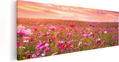 Artaza Canvas Schilderij Cosmea Bloemen - 60x20 cm - Wanddecoratie Bloemenweide - Muurdecoratie Natuur - Kamer Accessoires