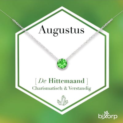 Bixorp Geboortesteen Ketting Augustus - Zilverkleurig Roestvrij Staal met Zirkonia Hanger - Stainless Steel - Peridoot