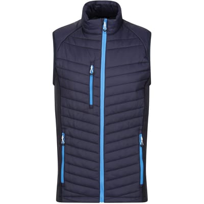 Regatta Heren Navigate Gewatteerd Hybride Gilet (Marine / Frans Blauw)